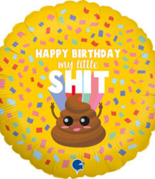 Ballonnenpost | Happy Birthday My Little Shit