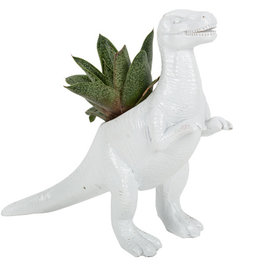 T- rex bloempotje wit