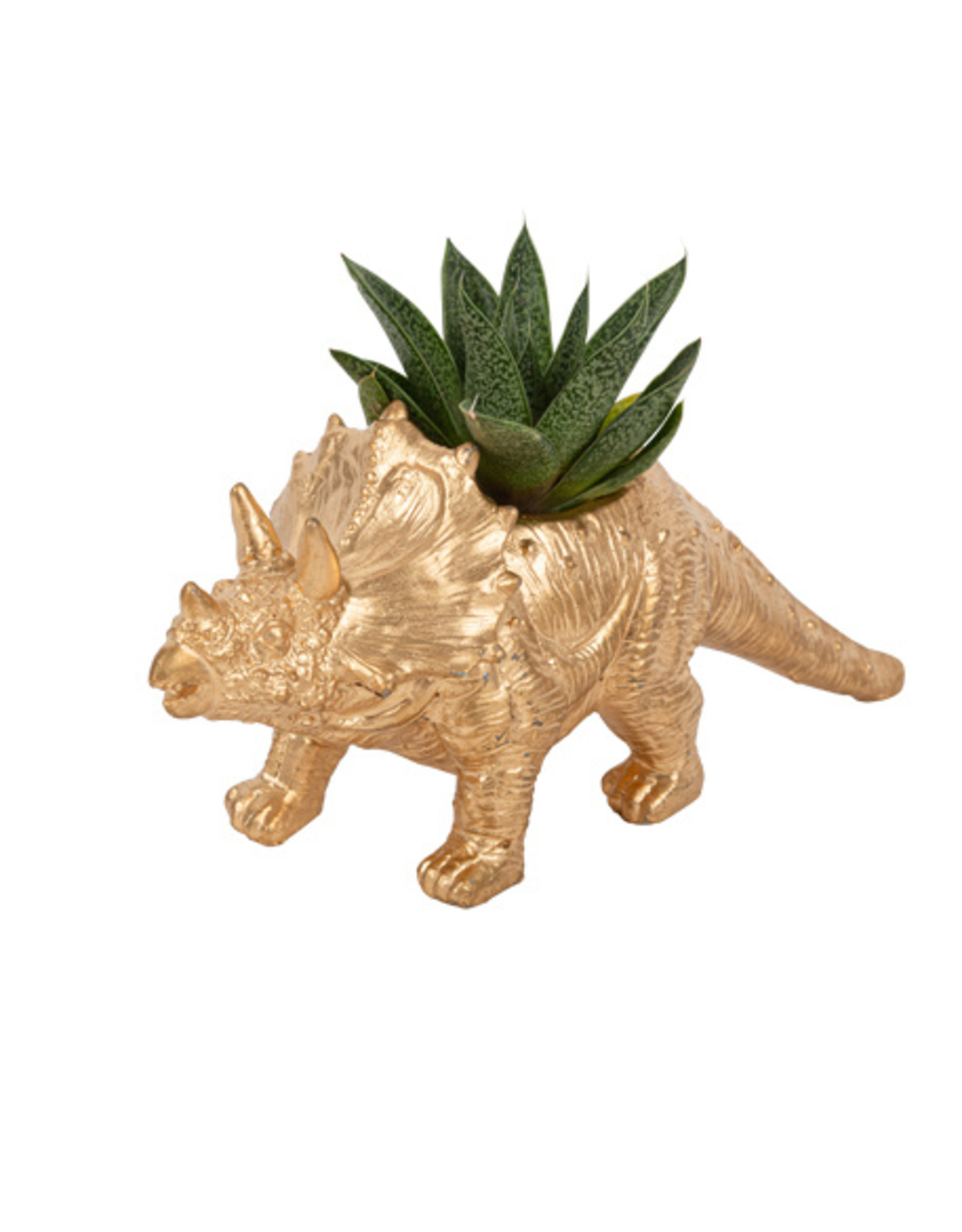 triceratops bloempotje goud