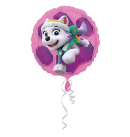 Folieballon sky paw patrol