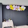 WOW Ballonnenboog: Louise