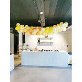 WOW Ballonnenboog  | Daisy flowers