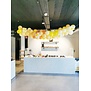 WOW Ballonnenboog | Daisy flowers