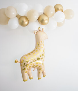 WOW Ballonnenboog | Marie