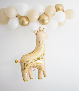 WOW Ballonnenboog | Marie