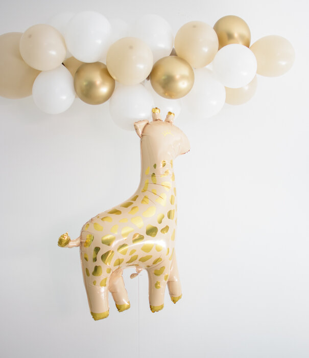WOW Ballonnenboog | Marie