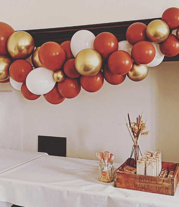 WOW ballonnenboog | Fons