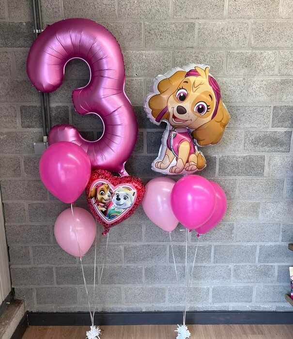 XXL Folieballon sky paw patrol 81 cm