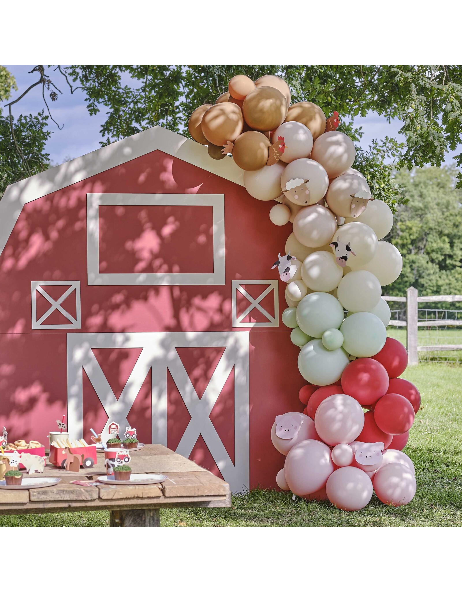 Gingerray Ballonnenboog Boerderij