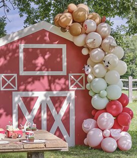 Ballonnenboog Boerderij