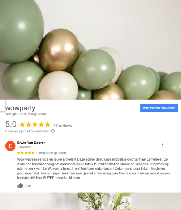 WOW ballonnenboog | Fons