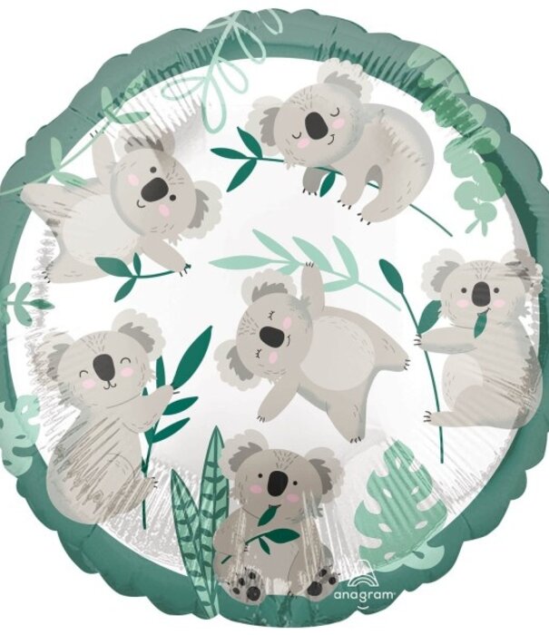 Ballonnenpost | Koala