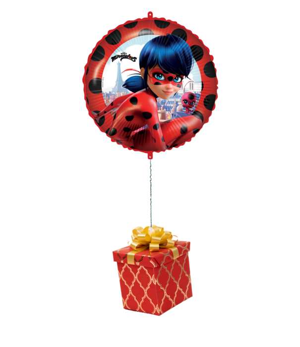 Ballonnenpost | ladybug