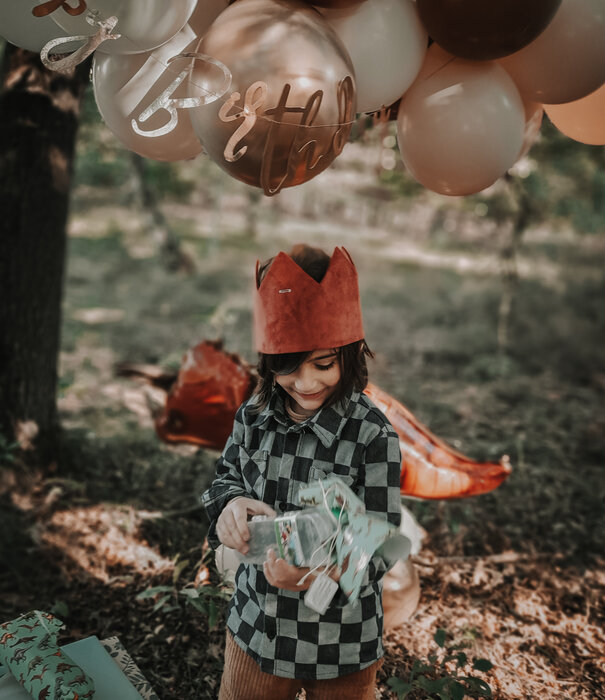 WOW partypakket: Dino ballonnen