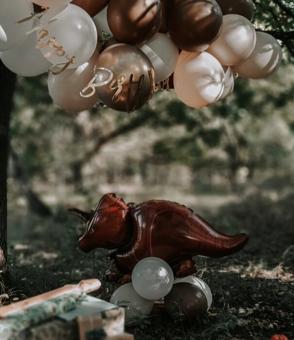 WOW partypakket: Dino ballonnen