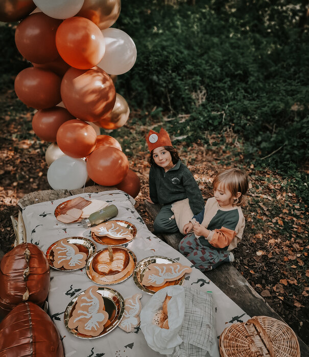 WOW ballonnenboog | Fons