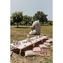 Picknicktafeltjes en decoratie te huur