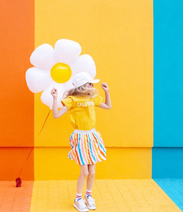 Ballonnenpakket madelief en bijtje