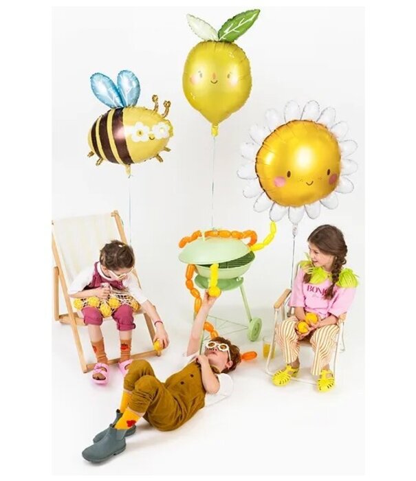 Ballonnenpakket madelief en bijtje