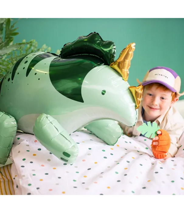 Ballonnenpakket Dino