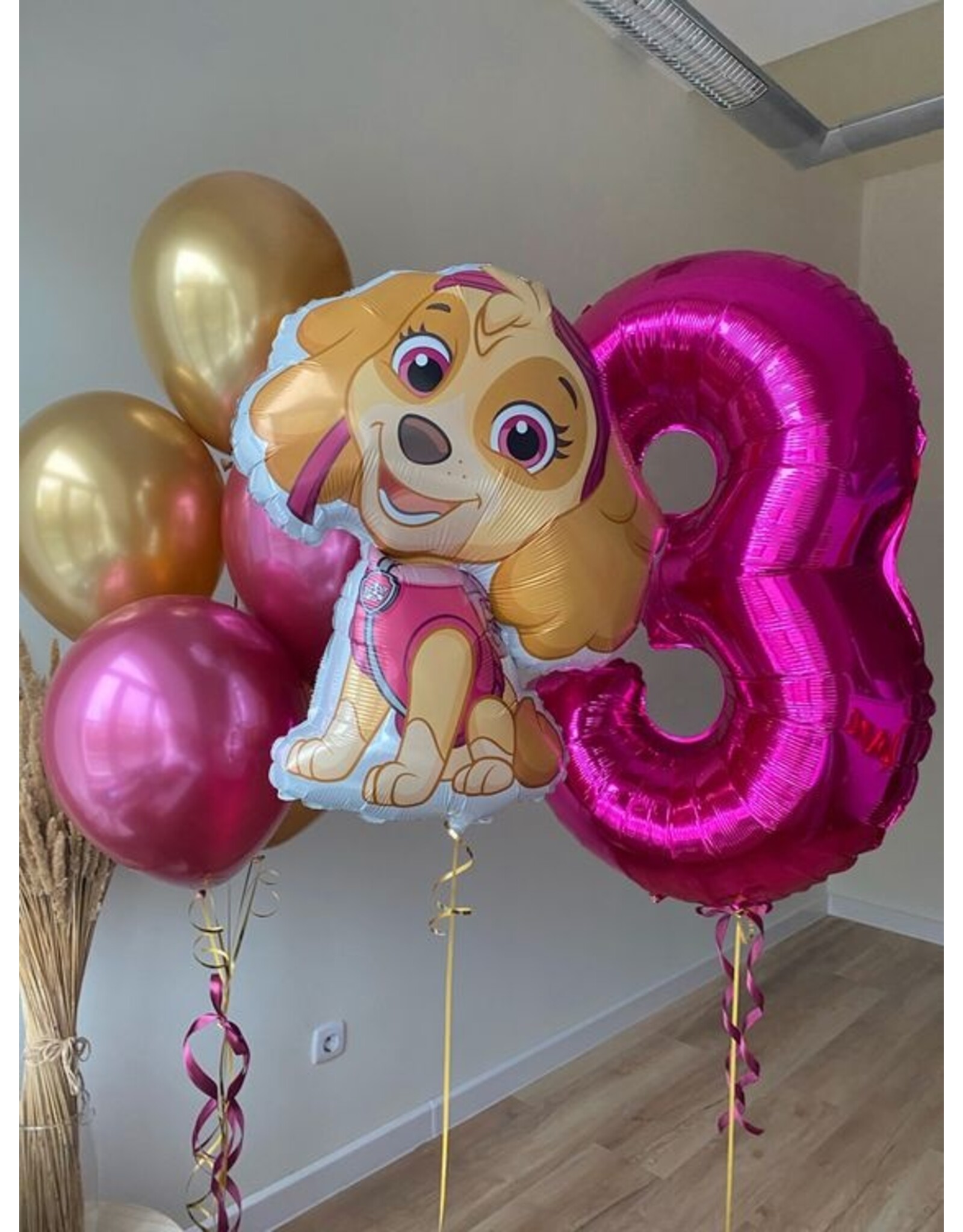 Ballonnenpakket paw patrol sky