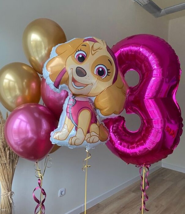 Ballonnenpakket paw patrol sky