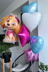 Ballonnenpakket paw patrol sky