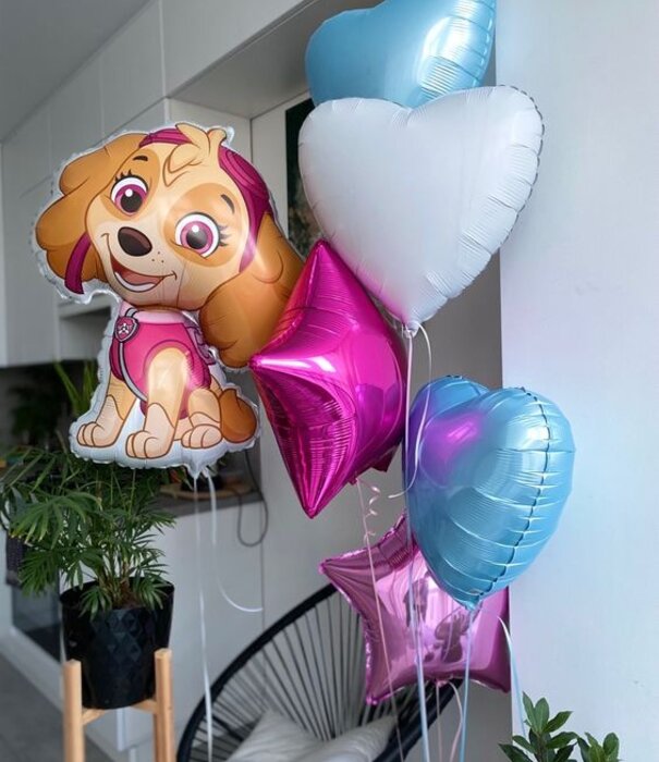 Ballonnenpakket paw patrol sky