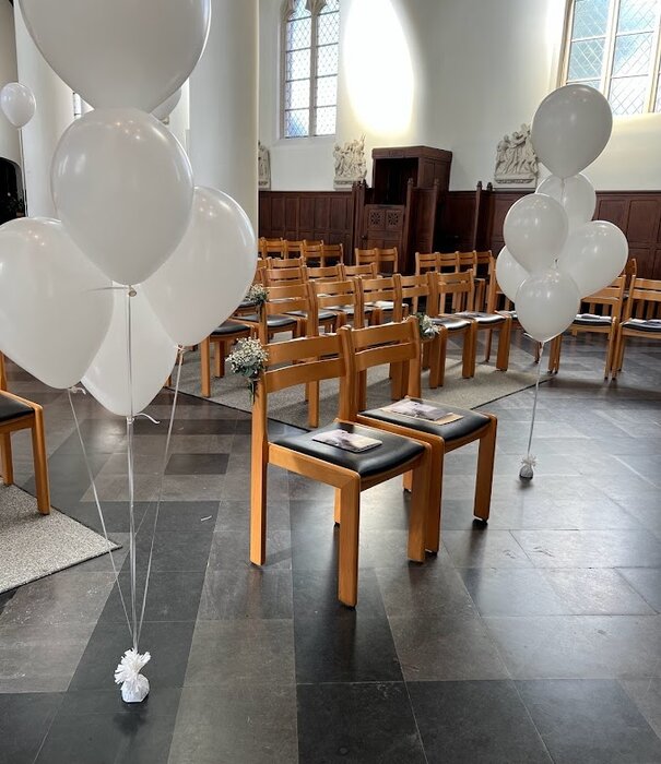 Helium tros | 6 ballonnen