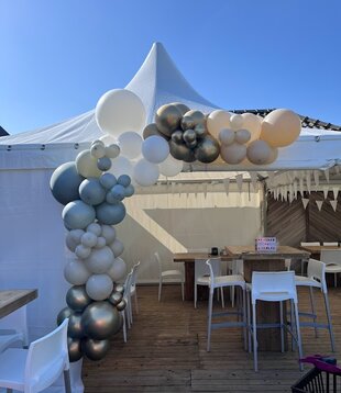 WOW ballonnenboog | Maxim