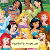 Prinsessen feestkoffer