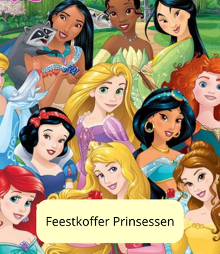 Prinsessen feestkoffer