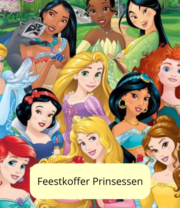 Prinsessen feestkoffer