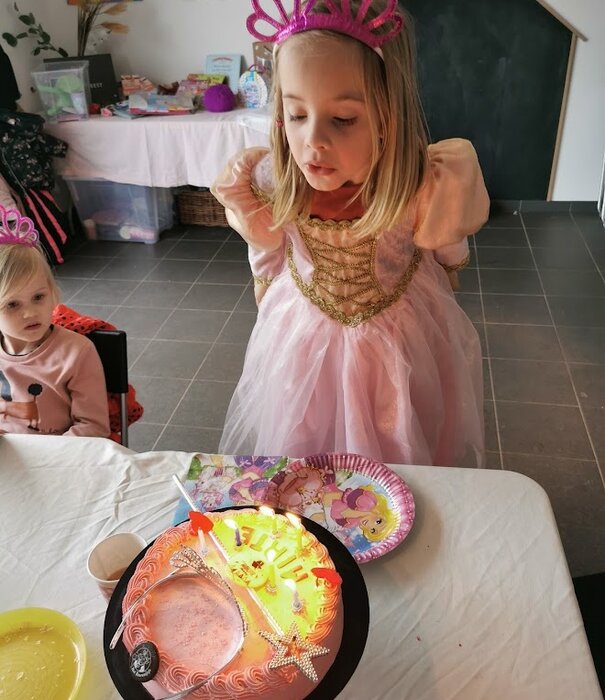 Prinsessen feestkoffer