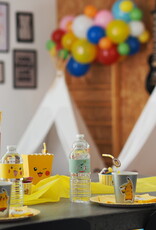 slaapfeestje: Pokémon