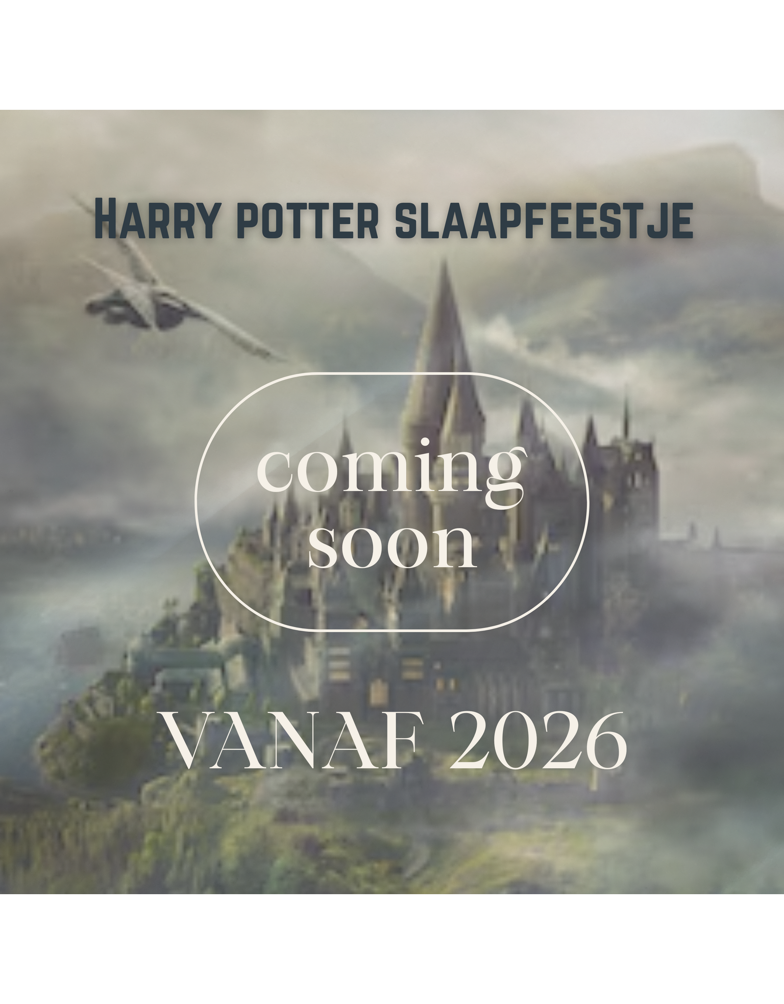 Slaapfeestje: Harry potter