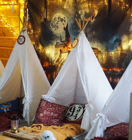 Slaapfeestje: Harry potter