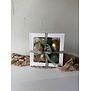 Ballonnenbox met geld - Cadeaubox