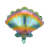 regenboog schelp 50 cm