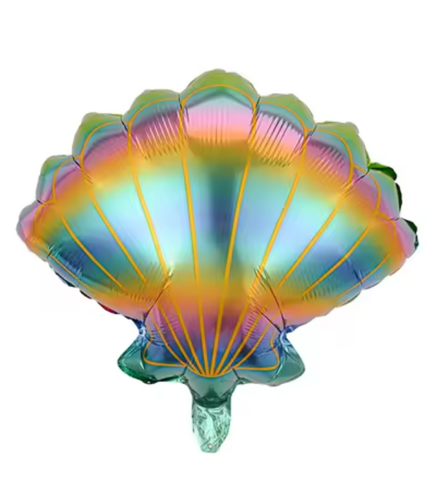 regenboog schelp 50 cm