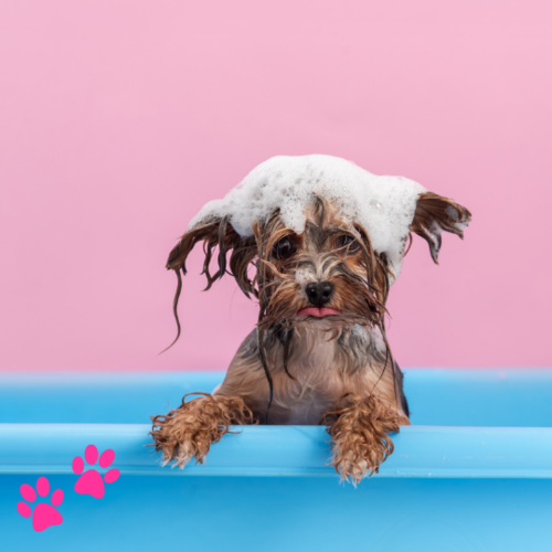 Honden badjasjes
