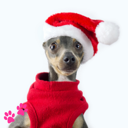 Honden Kerst kleding