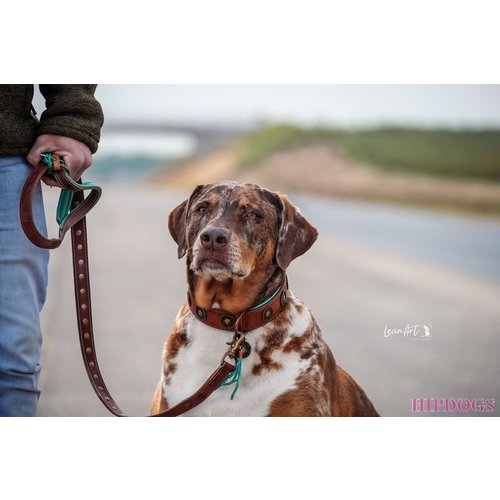 Halsbanden grote honden