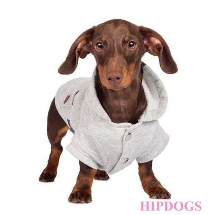 tQel – Mode & Accessoires voor Teckels tQel Honden sweater Boston Grey