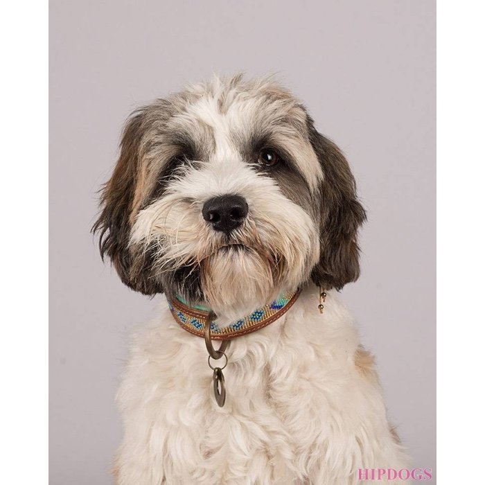 DWAM - Dogs with a mission DWAM Honden halsband Indi Moon 2 cm