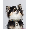 DWAM Honden halsband Indi Moon 2 cm