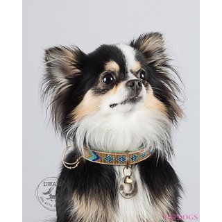 DWAM - Dogs with a mission DWAM Honden halsband Indi Moon 2 cm - S