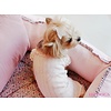 Puppy Angel  Honden jumpsuit Sweetie Bebeangels Pink