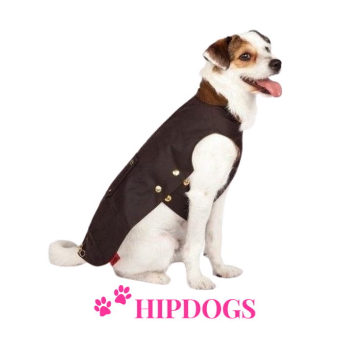 tQel – Mode & Accessoires voor Teckels tQel Teckeljas Waxcoat Barbour Brown