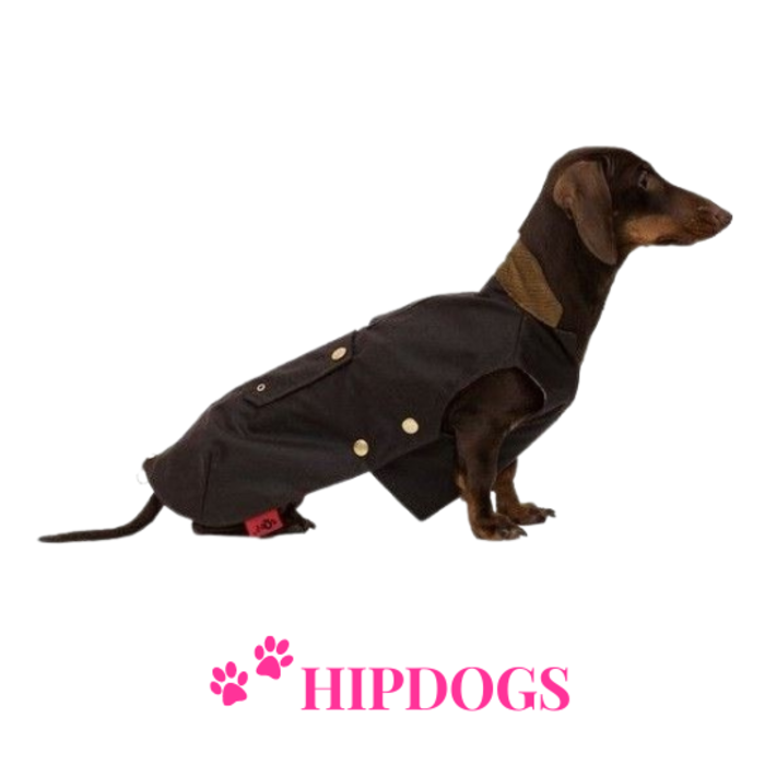 tQel – Mode & Accessoires voor Teckels tQel Teckeljas Waxcoat Barbour Brown